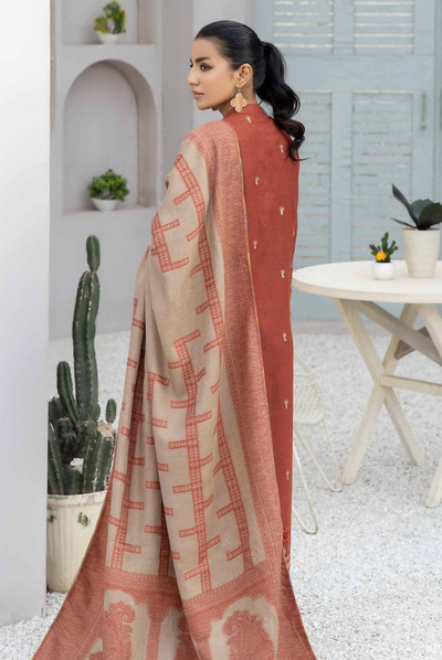 3 Piece Stitched Embroidered Leather Suits From Deewan By Johra - 01