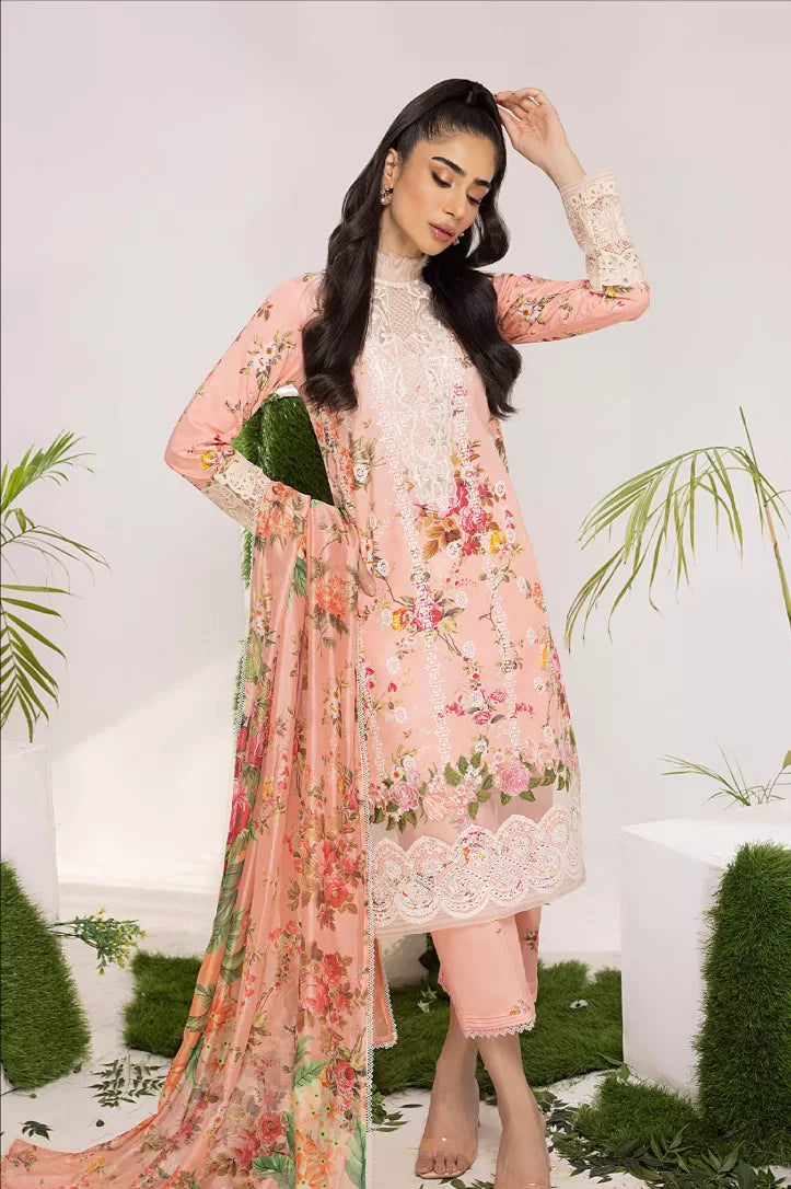 Aleyna By Asifa & Nabeel 3 Piece Stitched Suit - 12