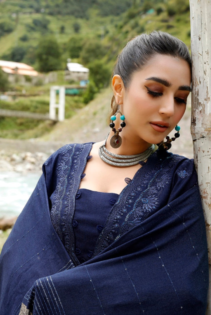 Tehzeeb By Riaz Arts Embroidered Leather Peach Suits Collection - 10