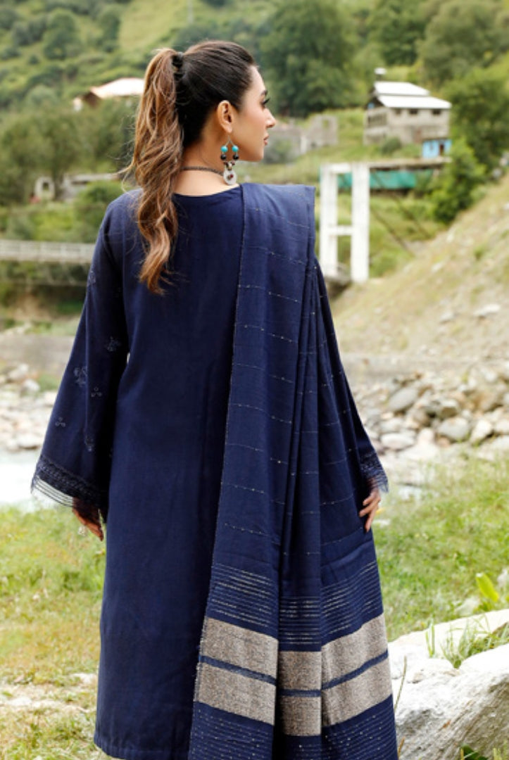 Tehzeeb By Riaz Arts Embroidered Leather Peach Suits Collection - 10