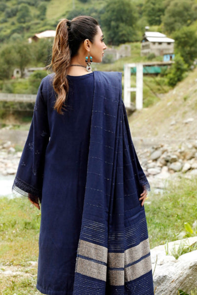 Tehzeeb By Riaz Arts Embroidered Leather Peach Suits Collection - 10