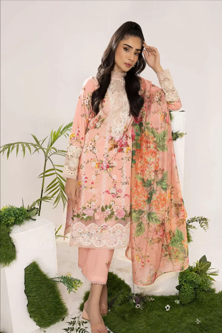 Aleyna By Asifa & Nabeel 3 Piece Stitched Suit - 12