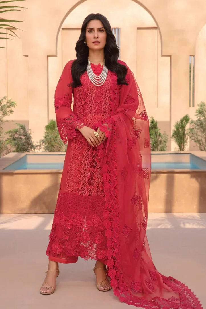 Rang Rasiya 3 Piece Stitched Suit – CARNELIAN