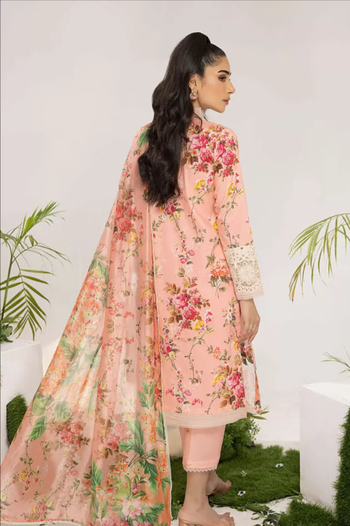 Aleyna By Asifa & Nabeel 3 Piece Stitched Suit - 12