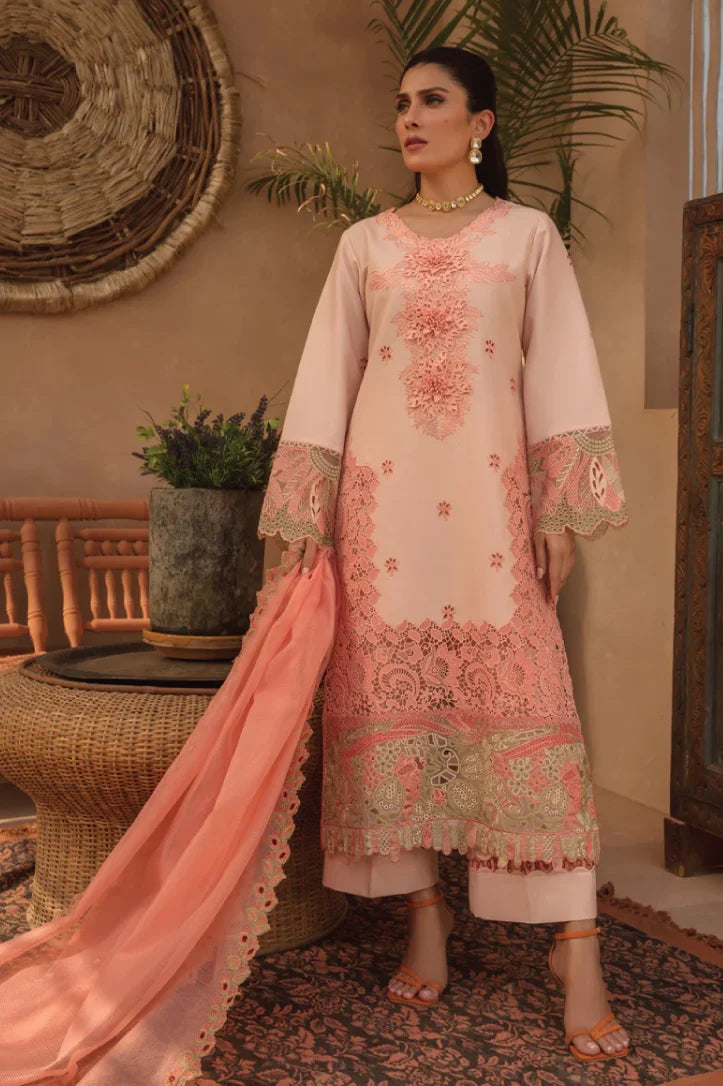 Rang Rasiya 3 Piece Stitched Suit – MARGANITE