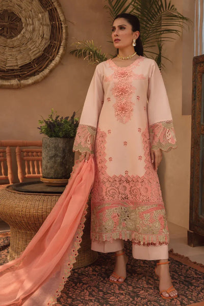 Rang Rasiya 3 Piece Stitched Suit – MARGANITE