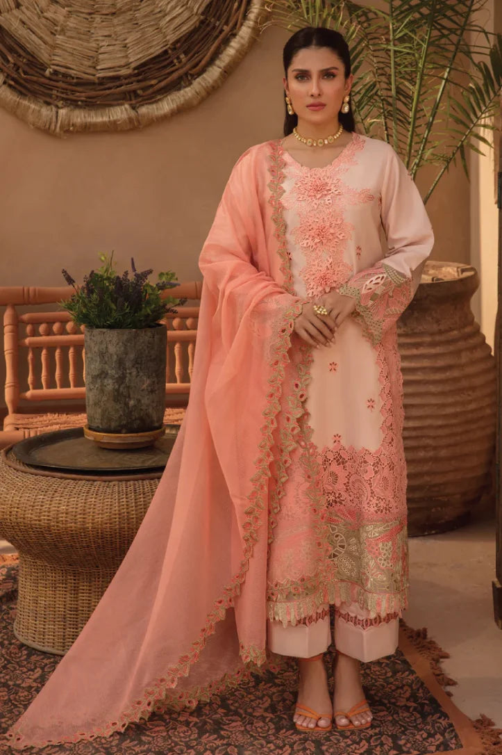 Rang Rasiya 3 Piece Stitched Suit – MARGANITE