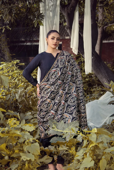 3 Piece Stitched DHANAK READY TO WEAR BY ADAN'S LIBAS - 7693