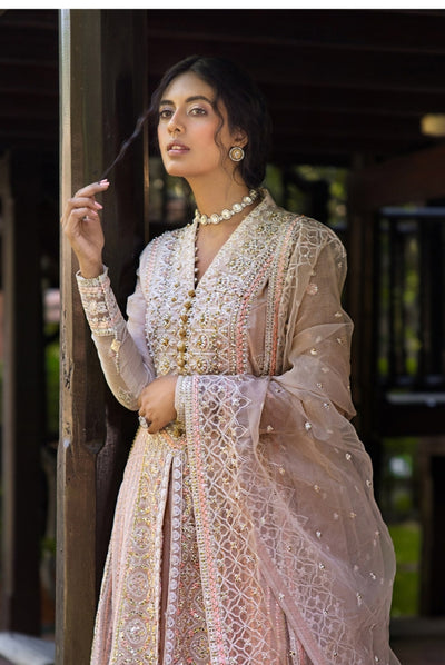 Roohi By Mushq 4 Piece Stitched Embroidered Organza Suit - ANIKA