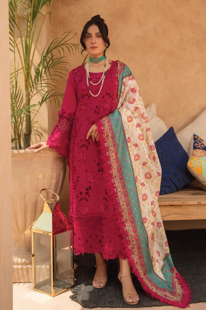 Rang Rasiya 3 Piece Stitched Suit – RUBELLITE