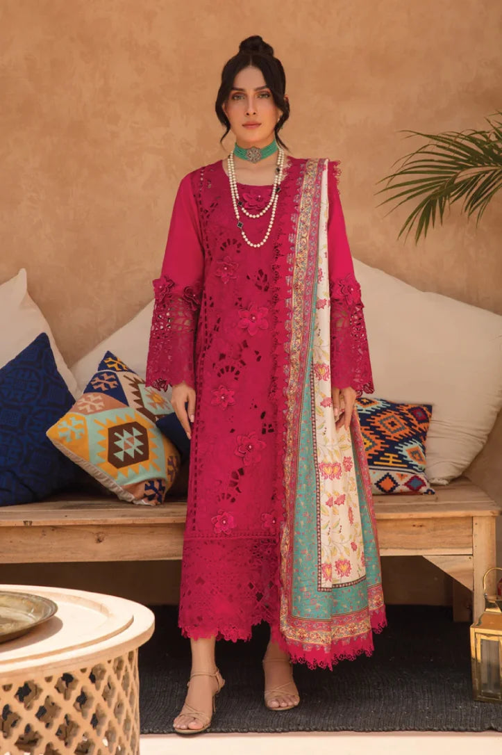 Rang Rasiya 3 Piece Stitched Suit – RUBELLITE