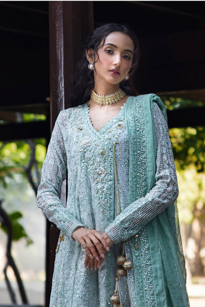 Roohi By Mushq 4 Piece Stitched Embroidered Organza Suit - DIYA