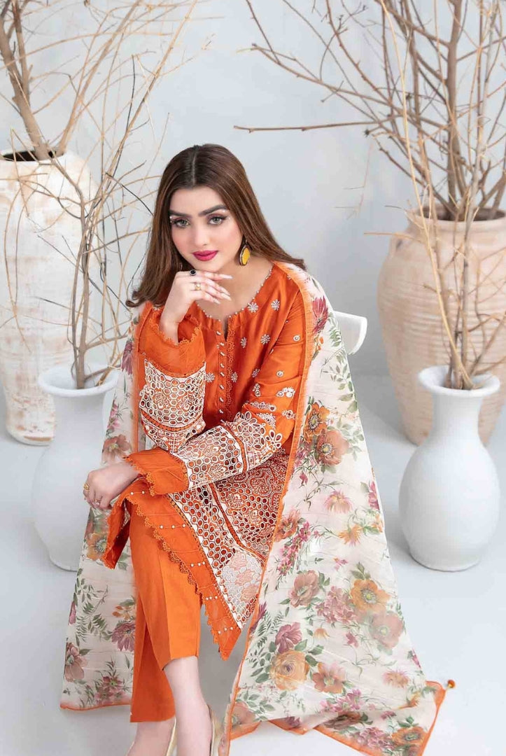 Eyana By Tawakkal Pret 3 Piece Stitched Schiffli Embroidered Lawn Suit - 02