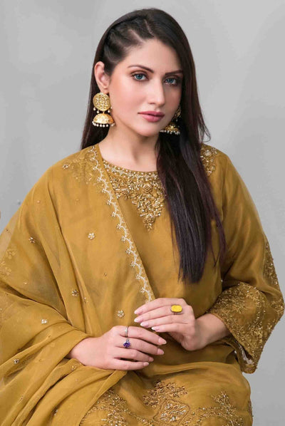 Heeriye By Tawakkal Pret 3 Piece Stitched Embroidered Organza Suit - 05