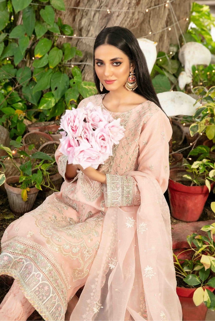 Parizah By Tawakkal Pret 3 Piece Stitched Embroidered Organza Suit - 06