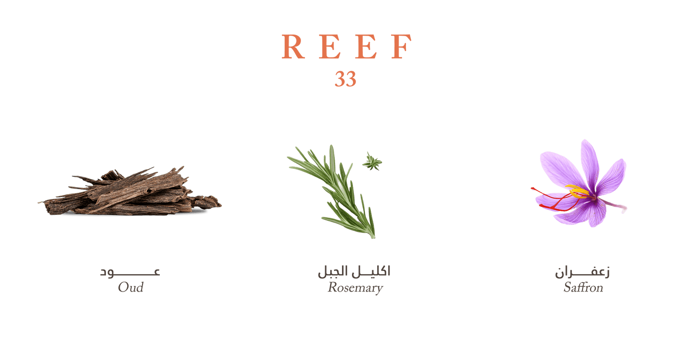 Reef 33 Perfume for Unisex Long Lasting Fragrance - Eau De Parfum for Men's & Women's