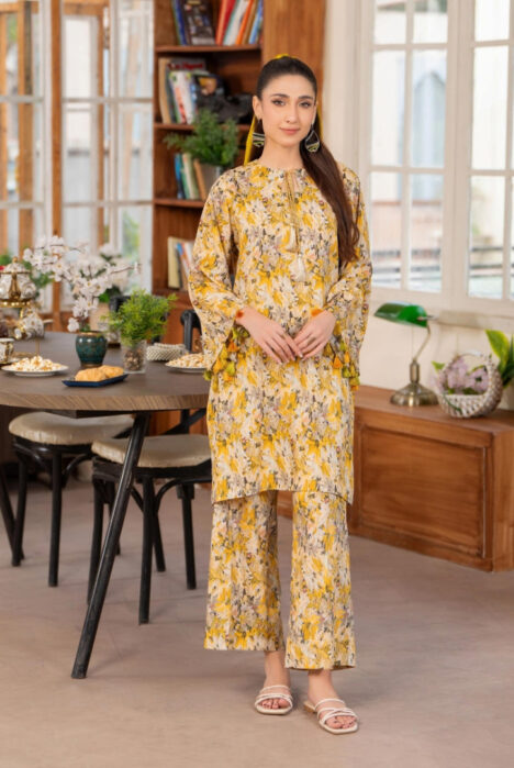 2 Piece Stitched Winter Linen Suit From Evie By Binaas - 01