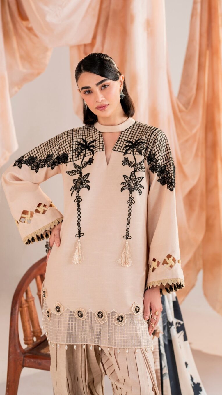 3 Piece Stitched Embroidered Digital Printed Suit | Winter Meraki'24 Vol'1 By Asifa & Nabeel - Cascade - Image 2