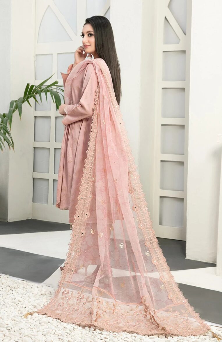 3 Piece Stitched Karandi Banarsi Suit Safiya By Tawakkal - 02 - Image 2