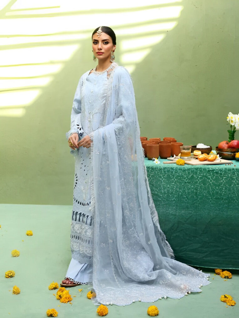 Nureh Mehmaan Nawazi 3 Piece Stitched Suit - 03 - Image 2