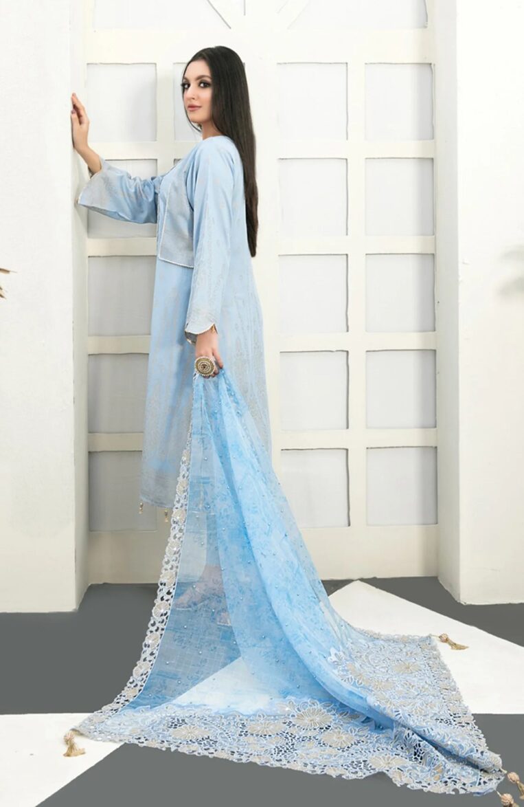 3 Piece Stitched Karandi Banarsi Suit Safiya By Tawakkal - 03 - Image 2