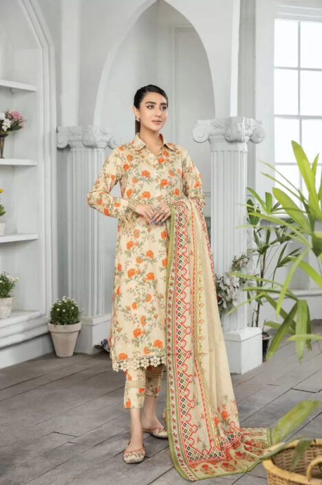 Johra Raiza 3 Piece Stitched Suit - 05
