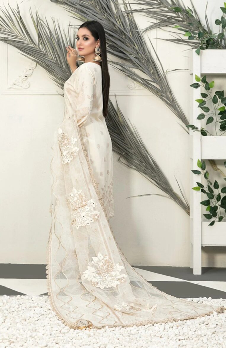 3 Piece Stitched Karandi Banarsi Suit Safiya By Tawakkal - 04 - Image 2