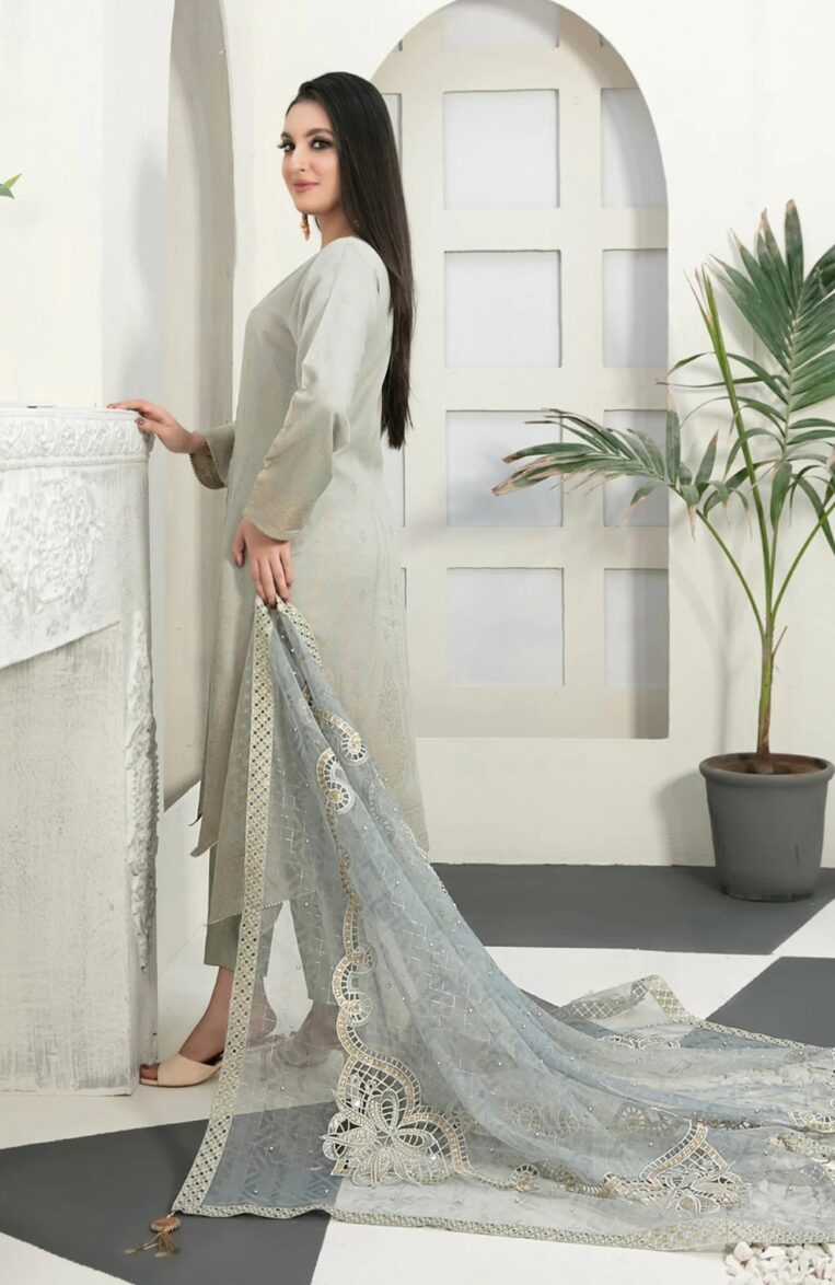 3 Piece Stitched Karandi Banarsi Suit Safiya By Tawakkal - 05 - Image 2