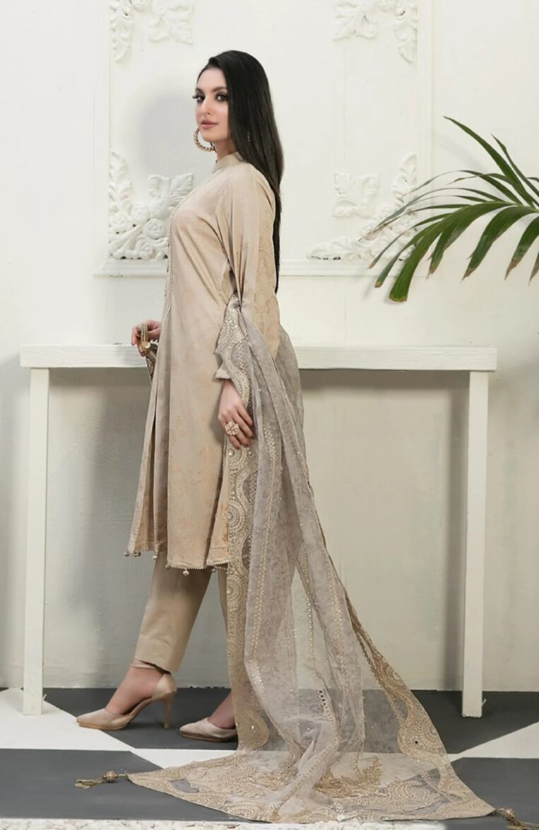 3 Piece Stitched Karandi Banarsi Suit Safiya By Tawakkal - 07 - Image 2