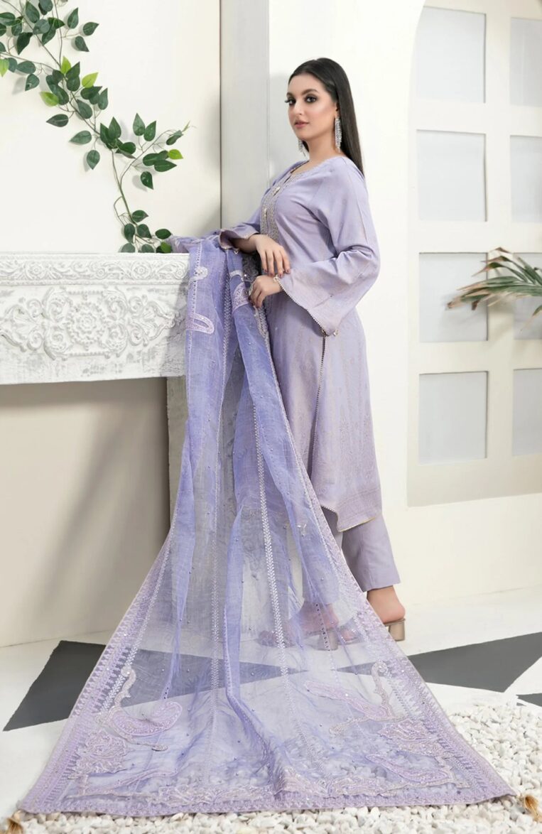 3 Piece Stitched Karandi Banarsi Suit Safiya By Tawakkal - 09 - Image 2